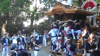 令和4年10月2日 深井地区だんじり祭り 深井中町西の地車 野々宮神社へ宮入