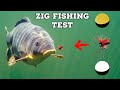 How do carp react to zig rigs? (First takes ever filmed underwater)