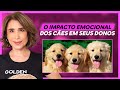 Importância do vínculo com os animais na saúde  | ANA BEATRIZ