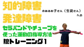 腕の筋力トレーニングの指導法①：動きを覚える練習/知的障害・発達障害のあるお子さん（生徒さん）へのセラバンドやチューブを使ったトレーニング