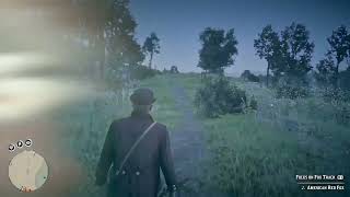 Easter egg hunting #reddead