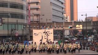 2014 3 16 浜松がんこ祭(浜よさ) ヤマハ会場　福井大学よっしゃこい