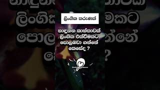 මෙහෙම කරොත් නම් වැඩේ ගොඩ 😍 #shorts #education