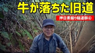 【押日素掘隧道群④】牛が滑り落ちた旧道を探す～坊谷隧道