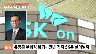 SK이노, 최재원·유정준 등판 '시선집중' [CEO 업\u0026다운]