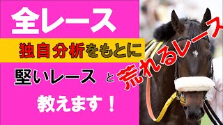 2021年12月4日独自分析から考える平場全予想　※穴馬多め