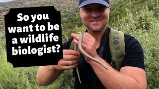 How To Become A Wildlife Biologist
