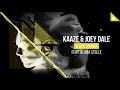 kaaze u0026 joey dale feat. aloma steele black sahara