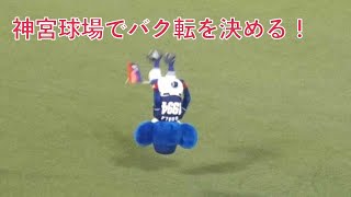 ドアラ、神宮球場でバク転を決める！