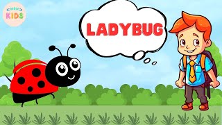 Ladybug Facts For Kids 🐞 Learn All About Ladybugs | MON Kids