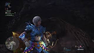 MHW - 歷戦調查（蠻顎龍蒼火龍）跳跳鎚