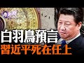 神秘预言：中共最后一任领导人将崩在任上！破解习近平面相吉凶！他是全世界最怕死的领导人！『新聞最嘲點 姜光宇』2023.0826