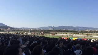 大阪杯　キタサンブラックを含む馬群がゴールをする場面　2017年4月3日