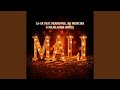 Mali (feat. ReaDaSoul, MJ Musician & Majalamba Omhle)