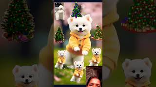 30 January 2025#dog ke cut# dance#cute #🥰🥀❤️🌹😯🐈‍⬛🐈🥲😼😻😽🥴🙂🤩😿😆👄🐕😘😚🥲#youtube