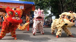 Nhân dịp Lễ Kỳ Yên Đình Tân Lân các đoàn Lân Sư Rồng đến biểu diễn - Múa Lân 2024 ( Phần 1)