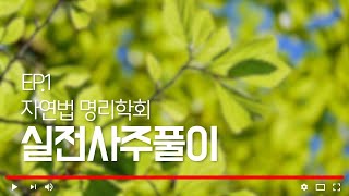 [자연법마음명리학회] I 실전사주풀이 제1강