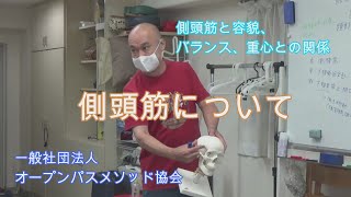 側頭筋について（小川隆之）／オープンパス・メソッド®／ボディワーク