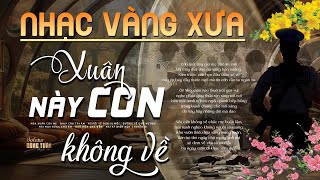 Xuân Này Con Không Về, Vườn Tao Ngộ - LK Nhạc Vàng Hải Ngoại Xưa Hay Nhất - Công Tuấn Bolero 2026