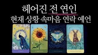 [타로]시원한 팩폭💥정신번쩍 정확✨구체적 상황과 조언 (전남친 전여친 썸남 썸녀 포함)