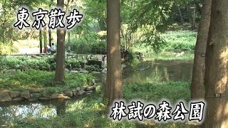 東京散歩 林試の森公園