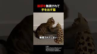 挨拶を無視されて手を出す猫