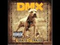 dmx the rain