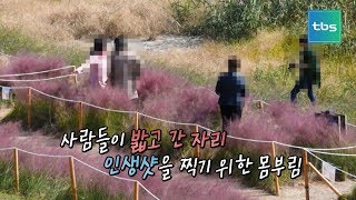 [tbs셀카봉] '인생샷'이 뭐길래!_시민들의 에티켓