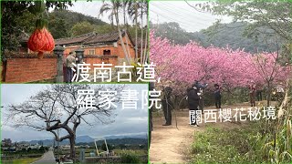 新竹健行趣… 關西 渡南古道, 羅屋書院, 關西櫻花秘境