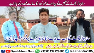 Sahiwal Cow Farming In Pakistan | Programme Aap KI Awaz | Cow Farming | Syed Adnan Noor