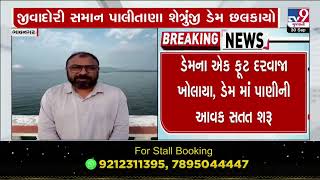 Lifeline of Bhavnagar, Shetrunji Dam overflows near Palitana | Gujarat Rain | Monsoon 2024 | TV9News