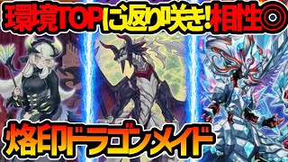 【#遊戯王】ミラジェイドお片付けで封殺⁉融合ドラゴンテーマ奇跡のタッグ！『烙印ドラゴンメイド』対戦動画！【#デュエダン】