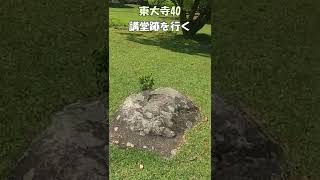 【東大寺】東大寺40　講堂跡を行く　礎石が残る講堂跡　東大寺の講堂は立派だった　東大寺で最も美しい風景　東大寺のすべてがわかる　＃Shorts 　奈良とびっきり観光ガイド東大寺　【奈良観光】