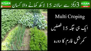 Multi croping farm| How to grow multi crops at one place| ایک ہی جگہ پر بارہ فصلیں لینےکاطریقہ