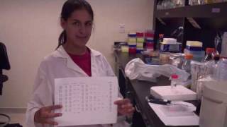 Food Microbiology Research