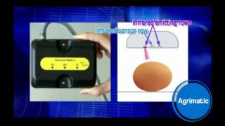 Egg Counter -Mark 5-
