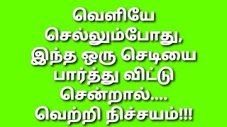 வீட்டின் வெளியே சுபசகுனமா??இல்லை அபசகுனமா??இனி கவலை வேண்டாம் ...ஒரு செடி...கோடி பயன்கள்