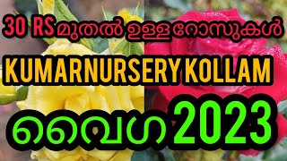 വൈഗ ഫെസ്റ്റ് 2023