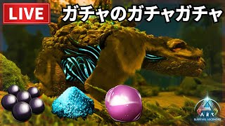 【赤ちゃんの鳴き声入ります】今年の運試しに黒真珠ガチャ探しにいきます（ARK:PS5公式）