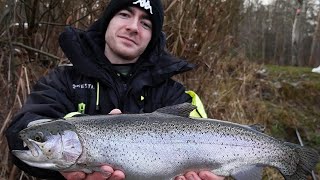 TROUT OF LIFE! BEAUTIFUL BATTLE TROUTS FROM Wędkarstwo PL! + COMPETITION!