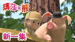 瑪莎與熊  - 新一集 🎬  找到我! 🕵 | Masha and The Bear