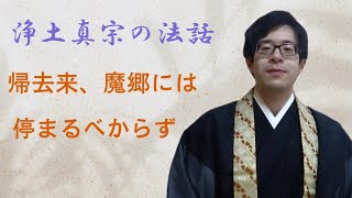 浄土真宗の法話 帰去来、魔郷には停まるべからず