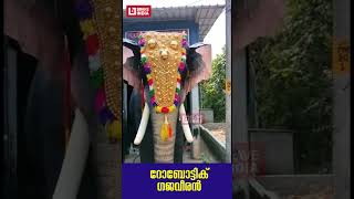 ഇരിഞ്ഞാടപ്പള്ളി ശ്രീകൃഷ്ണ ക്ഷേത്രത്തിൽ നടയിരുത്തിയ റോബോട്ട് ആന  തിടമ്പേറ്റിയപ്പോൾ | Robotic Elephant