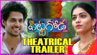 Pittagoda Movie Theatrical Trailer | Vishwadev Rachakonda | Punarnavi Bhupalam
