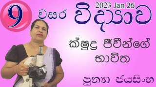 ක්ෂුද්‍ර ජීවීන්ගේ භාවිත - 9 වසර විද්‍යාව