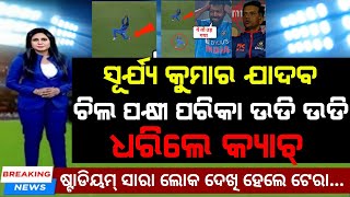 IND vs NZ - ସୂର୍ଯ୍ୟ କୁମାର ଚିଲ ପକ୍ଷୀ ପରିକା ଉଡି ଉଡି ଧରିଲେ କ୍ୟାଚ୍ 😲