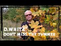 D.White - Don't miss the summer (Official Music Video). Euro Dance, NEW Italo Disco, music 80-90s