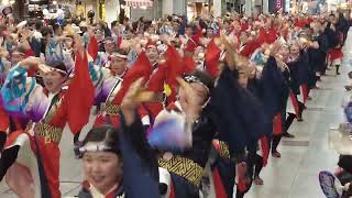 2024年8月12日　高知よさこい祭り全国大会　帯屋町会場　國士舞双