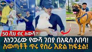 እውነት የውሻ ዋጋ እዚህ ደርሷል? Eyoha Media | dogs