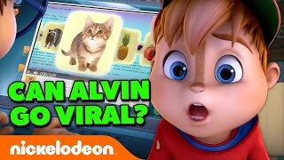 Can Alvin And The Chipmunks Go VIRAL On Social Media?! | ALVINNN!!! | Nickelodeon Cartoon Universe